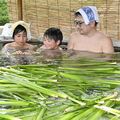 真岡・おふろcafeで「菖蒲湯」　端午の節句に合わせ、無病息災願う
