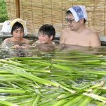 真岡・おふろcafeで「菖蒲湯」　端午の節句に合わせ、無病息災願う