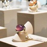 宇都宮出身のジュエリー作家、清嶋さんが県内初個展　14日まで