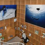 図書館に広がる海の世界「水族表現家」二木さんが写真展　那須塩原市内で初