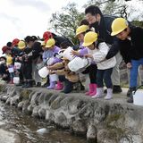 「大きくなってね」　ブリヂストン那須工場が那珂川で園児と初の稚アユ放流会