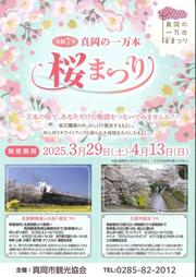 真岡の一万本桜まつり ７カ所でスタート　５日にかけて見頃迎える予想　ライトアップや…