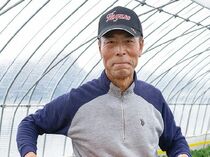 <232> 味・量ともに日本一のイチゴ産地 JAはが野の「イチゴ」