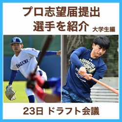 プロ野球ドラフト会議　プロ志望の栃木県関係選手まとめ【大学生編】