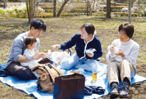 重箱に春を詰め、行楽へ