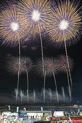 夜空を鮮やかに彩り、大観衆を魅了した花火＝10日午後８時10分、宇都宮市道場宿町（15秒間露光）