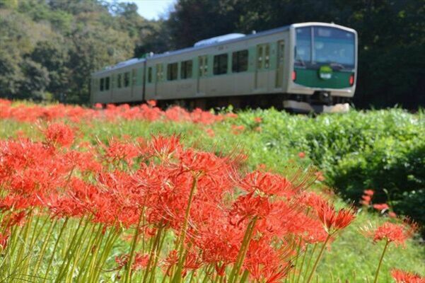 沿線の豊かな自然を駆け抜ける烏山線のアキュム