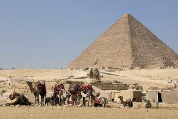 　エジプトの首都カイロ近郊ギザのピラミッドとラクダ＝１６日（共同）