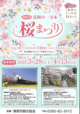 真岡の一万本桜まつりのチラシ