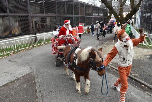 動物園内をにぎやかに練り歩くパレード