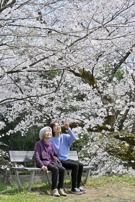 龍城公園（大田原）