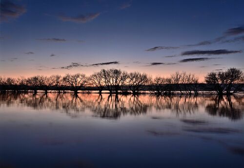 銅賞「射し込む光」舘脇守男（矢板）