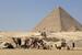 　エジプトの首都カイロ近郊ギザのピラミッドとラクダ＝１６日（共同）