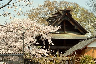 本殿の屋根の千木