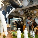 那須塩原の乳製品いかが？　18日まで都内で「食の魅力」ＰＲ　東京・八芳園が企画・運営