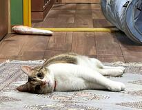 役に立つからではない