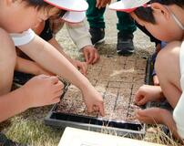 御巣鷹慰霊に向け児童らが種まき