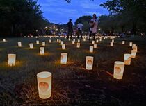 しもつけ燈桜会