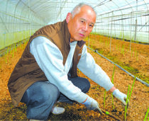 ＜175＞甘く、柔らかい春芽が旬　JAしおのやのアスパラガス