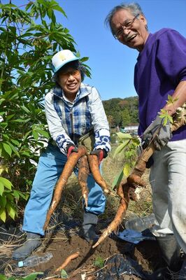 福島さんとキャッサバ芋を掘り出して笑顔を見せる松本さん（左）