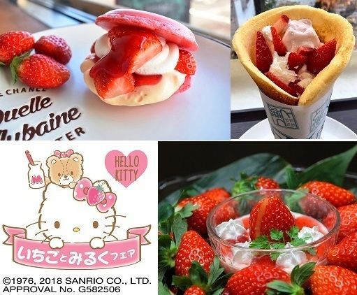 開催期間　～5月10日（金）　／　会場　参画している市内の旅館・飲食店