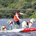 愛犬と一緒にSUPで競争　那須で初の「全日本ドッグSUPレース」　懸命にパドルこいでゴール目指す