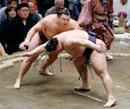大関復帰の霧島が２連勝
