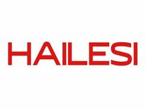 Nintendo Switchゲーマー向け携帯型大画面モニター、HAI…