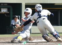 連合2チームが2回戦進出、1試合38安打の乱打戦も　青藍泰斗は先発全員…