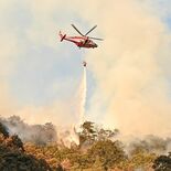 鹿沼の山林火災、消火活動を再開　西側に延焼中　粟沢トンネル付近で交通規制