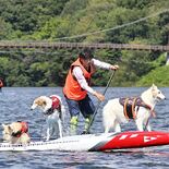 愛犬と一緒にSUPで競争　那須で初の「全日本ドッグSUPレース」　懸命…