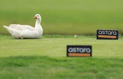 「イーグル」も来て
