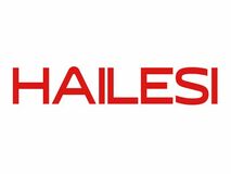 Nintendo Switchゲーマー向け携帯型大画面モニター、HAILESI S135―ピーク輝度500ニット、鮮明な2.2K解像度の有力候補
