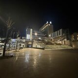 JR宇都宮駅東口でまた破損行為　８件目、植栽３本折られる