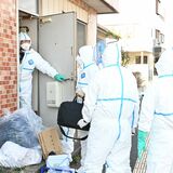 保護猫４頭を虐待疑い、足利の団体代表を告発　栃木県警が飼育施設を家宅捜索