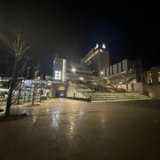 JR宇都宮駅東口でまた破損行為　８件目、植栽３本折られる