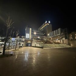 JR宇都宮駅東口でまた破損行為　８件目、植栽３本折られる