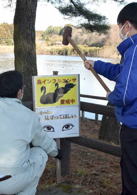 看板を設置する市職員
