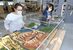 市役所１階ロビーに展示されている鹿沼城のジオラマ