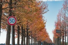 〖企画連載 Vol.8〗あわら色｜写真家 tomosaki が切り取る…