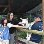 那須・りんどう湖ファミリー牧場でアルパカの赤ちゃん初公開　31日まで名…