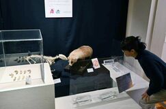 佐野の地下世界 不思議に迫る