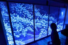 「光彫り」の優しい世界