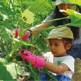 食と農、親子で楽しく学ぶ