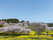 世間遺産特集これからもずっと…守り伝えたい