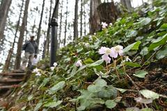 「春の使者」愛らしく