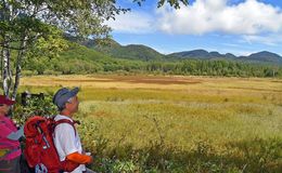 小田代原で草紅葉始まる　日光