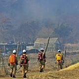 「家だけは守る」　栃木県の消防援助隊、最前線で懸命の消火活動　岩手の大規模山林火災・本紙記者ルポ