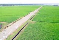 ＜79＞ＴＰＰ特集　守れるか私たちの暮らし　見えてきた米国の本音   