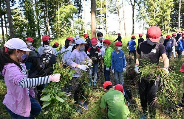 雑草刈りに汗を流す児童